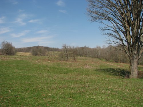 Property photo 57 - 137 Acres in 2 Tracts - 64 Tillable Acres, Potential Building Sites, Hunting